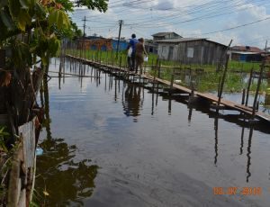 Imagem da notícia - Defesa Civil do Amazonas apresenta balanço dos municípios afetados pela enchente em 2014 e as ações realizadas pelo Executivo