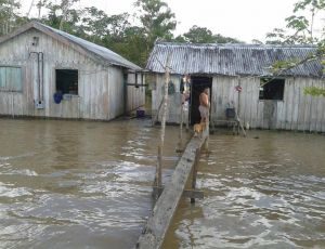 Imagem da notícia - Defesa Civil AM atesta a Situação de Emergência no Careiro, Japurá e Maués por conta da enchente