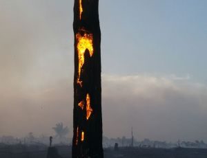 Imagem da notícia - Balanço final da Defesa Civil AM aponta redução expressiva de focos de queimadas no Estado, com queda de mais de 85%