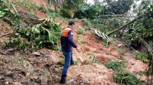 Imagem da notícia - Defesa Civil do Amazonas apoia famílias de Tefé afetadas por deslizamentos de terra ocasionados pela chuva