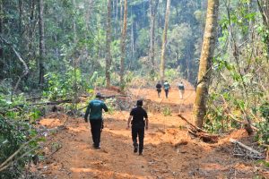 Imagem da notícia - Operação Curuquetê 2 reforça ações de combate ao desmatamento e queimadas ilegais em Apuí