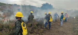 Imagem da notícia - Governo do Amazonas conclui formação de 20 brigadistas para combate às queimadas em Humaitá