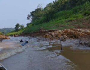 Imagem da notícia - Estiagem: FVS-RCP alerta para prevenção de casos de acidentes com arraias no Amazonas