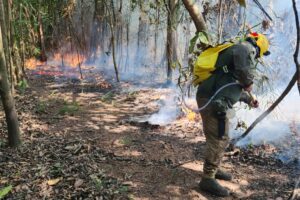 Imagem da notícia - Unidades de Conservação do Baixo Rio Negro recebem ações de combate integrado a focos de incêndio