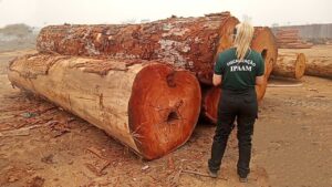 Imagem da notícia - Operação Tamoiotatá: Ipaam aplica mais de 100 milhões em multas, em 140 dias de operação no sul do Amazonas